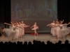 TZP_8862