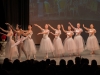TZP_8878